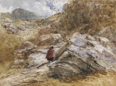 Mountain Pass at Bettws-y-Coed, 1851 by David Cox